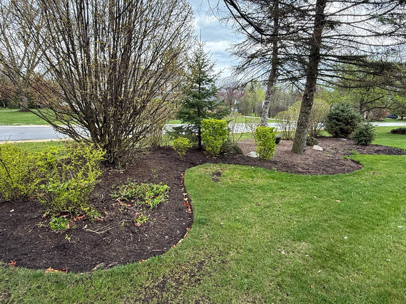 Front Yard Landscaping Upgrade - Before