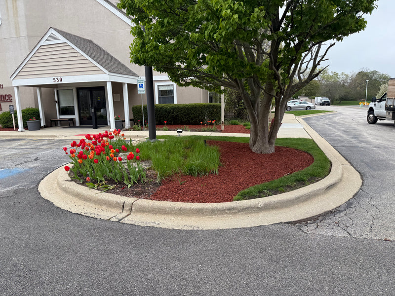 Landscaping
