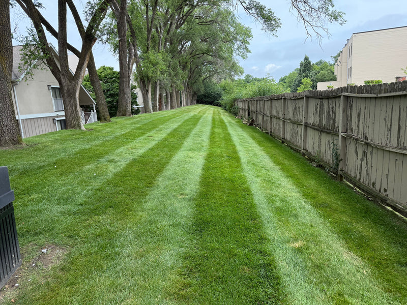 Lawn Mowing