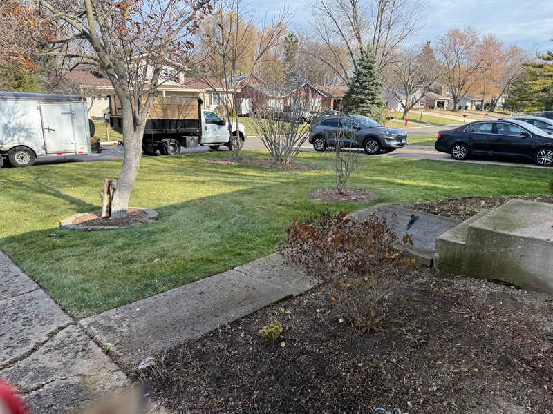 Front Yard Clean up - After