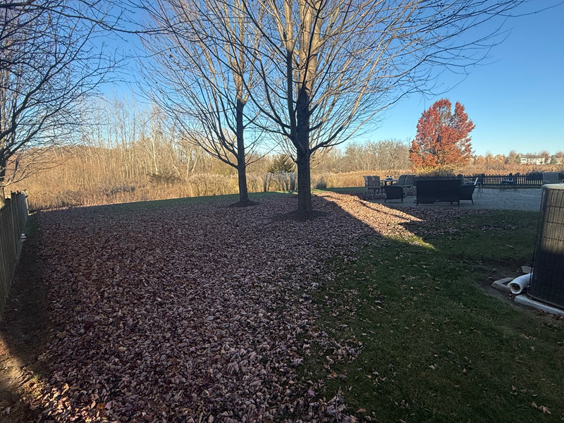 Fall Clean Ups